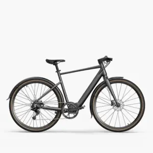 Fiido C21 E-Gravel & City E-Bike-Aanbod